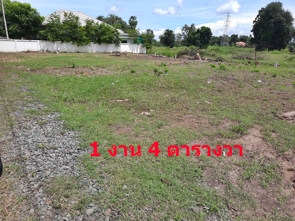 Buriram Land Plot Sale Price Buriram Land Plot Sale Price